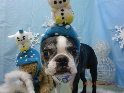 ファイル 6589-1.jpg