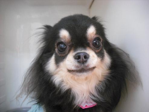 ファイル 659-1.jpg