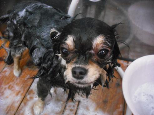 ファイル 659-2.jpg