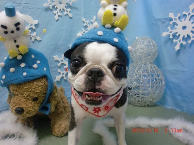 ファイル 6590-1.jpg