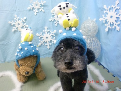 ファイル 6591-1.jpg