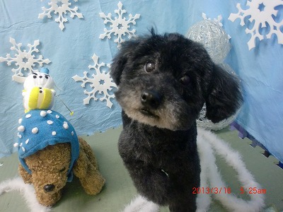 ファイル 6591-2.jpg