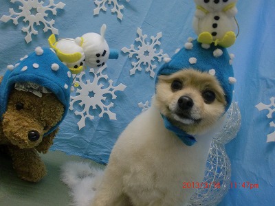 ファイル 6592-1.jpg