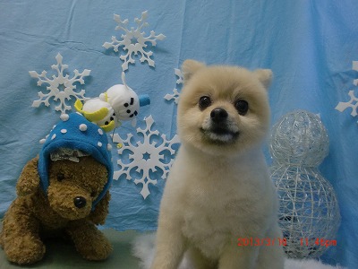 ファイル 6592-2.jpg