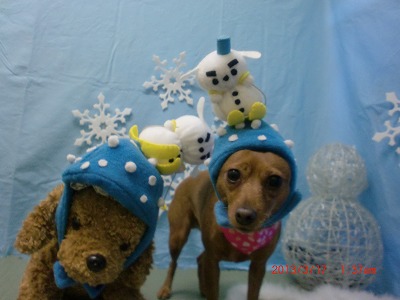 ファイル 6593-1.jpg