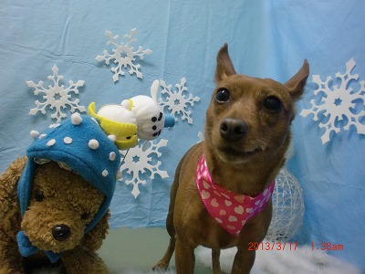 ファイル 6593-2.jpg