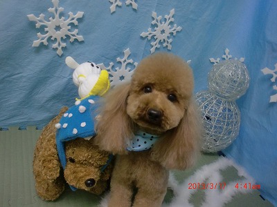 ファイル 6594-1.jpg