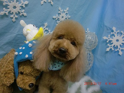 ファイル 6594-2.jpg