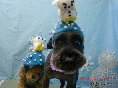 ファイル 6595-1.jpg