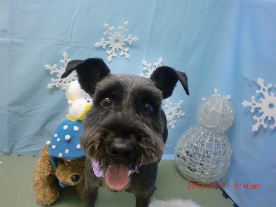 ファイル 6595-2.jpg