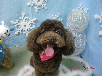 ファイル 6596-2.jpg