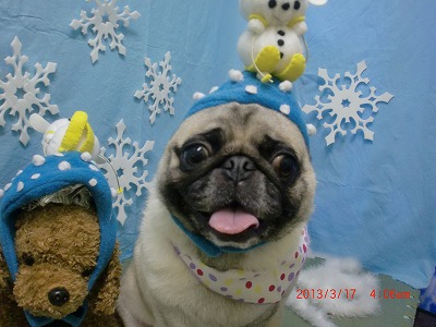 ファイル 6597-1.jpg