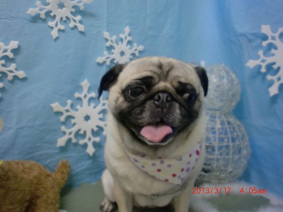 ファイル 6597-2.jpg