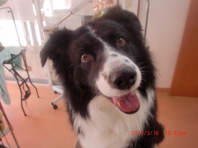 ファイル 6599-1.jpg