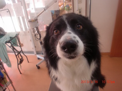 ファイル 6599-2.jpg