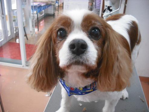 ファイル 660-1.jpg