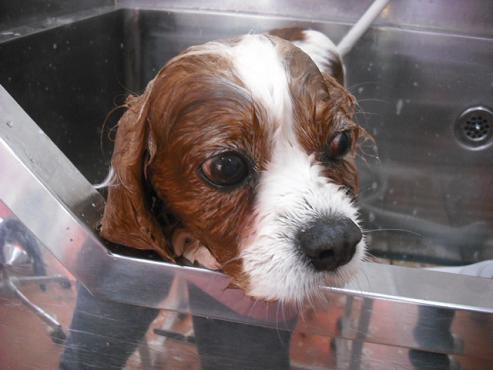 ファイル 660-2.jpg