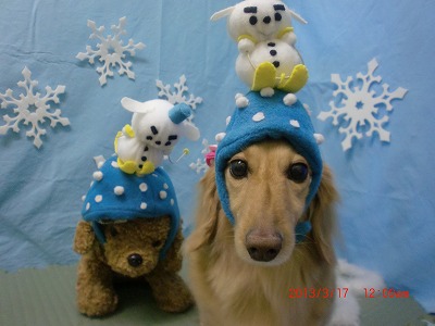 ファイル 6600-1.jpg