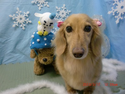 ファイル 6600-2.jpg