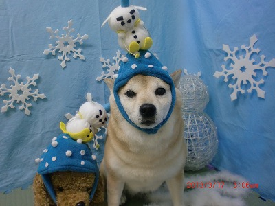 ファイル 6602-1.jpg