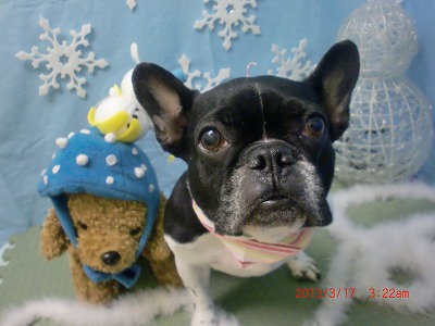 ファイル 6603-1.jpg