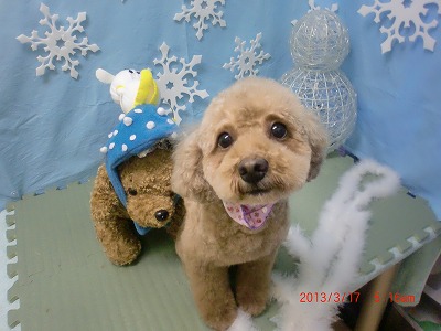 ファイル 6604-2.jpg