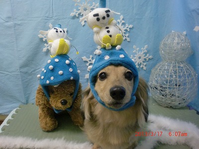 ファイル 6605-1.jpg