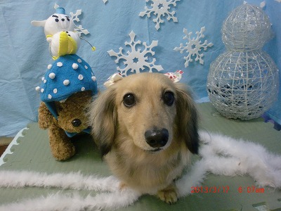 ファイル 6605-2.jpg