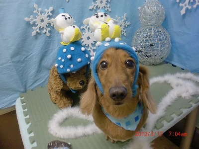 ファイル 6606-1.jpg