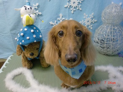 ファイル 6606-2.jpg