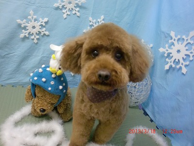 ファイル 6607-1.jpg