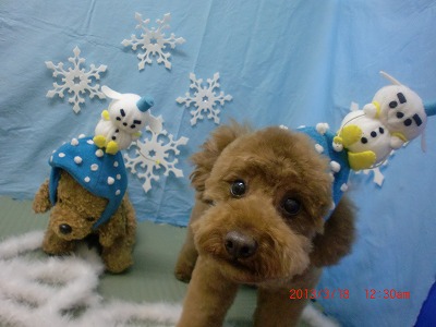 ファイル 6607-2.jpg