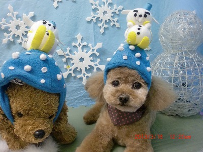 ファイル 6608-1.jpg