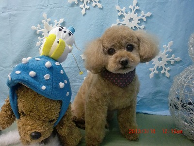 ファイル 6608-2.jpg