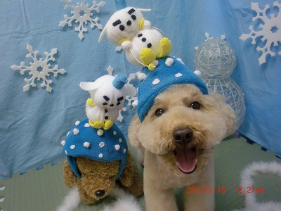 ファイル 6609-1.jpg