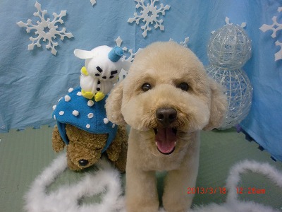 ファイル 6609-2.jpg