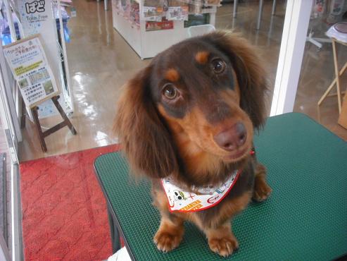 ファイル 661-1.jpg