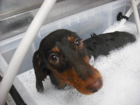 ファイル 661-2.jpg