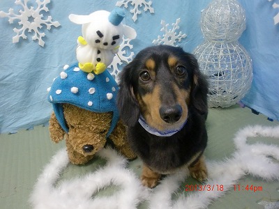 ファイル 6610-2.jpg