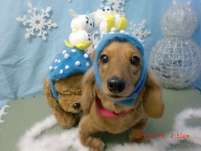 ファイル 6611-1.jpg