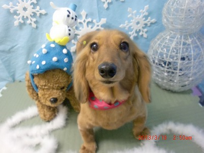 ファイル 6611-2.jpg