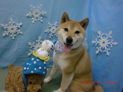 ファイル 6612-1.jpg