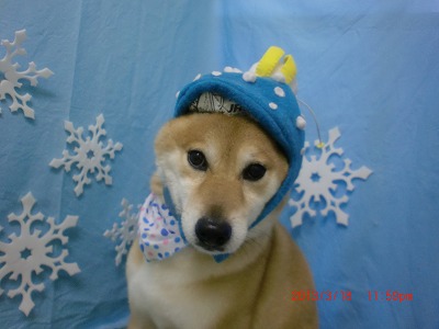 ファイル 6612-2.jpg