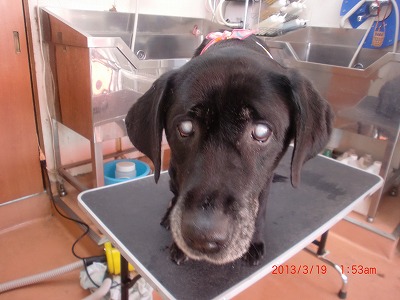 ファイル 6613-1.jpg