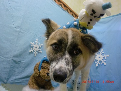 ファイル 6614-1.jpg