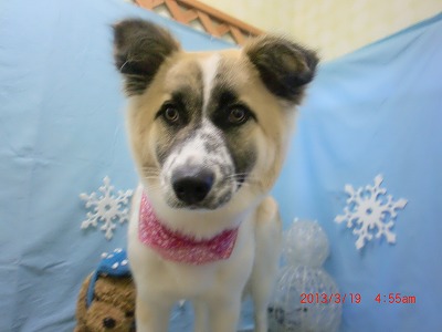 ファイル 6614-2.jpg