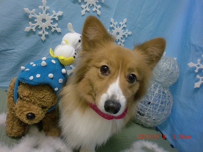 ファイル 6615-1.jpg