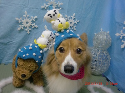 ファイル 6615-2.jpg