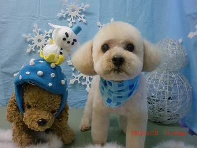 ファイル 6616-1.jpg