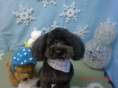 ファイル 6617-2.jpg